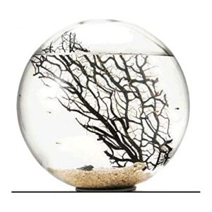 Achat nature – Bioglobe collezione Gorgonia 20 cm
