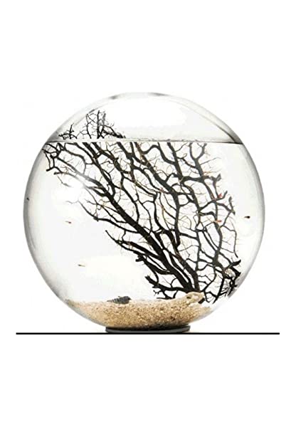 Achat nature – Bioglobe collezione Gorgonia 20 cm