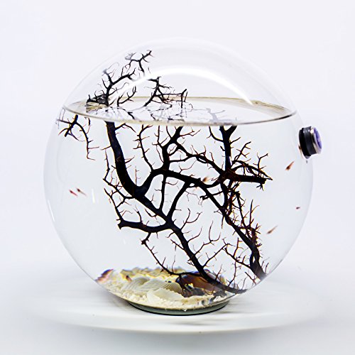 Beachworld 15 cm WG6