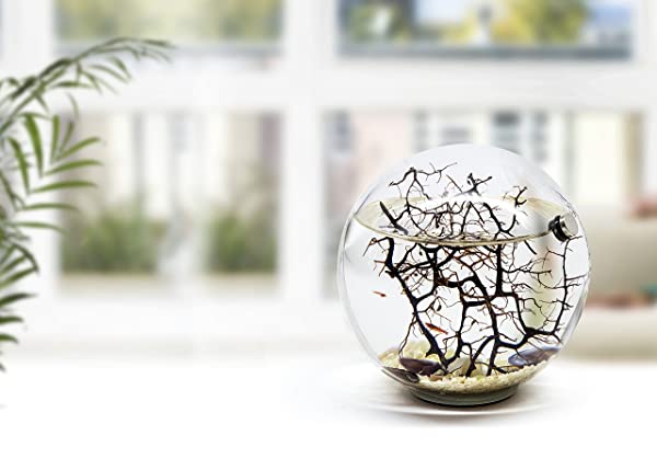 Beachworld 15 cm WG6 - immagine 5