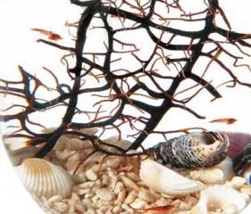 Beachworld 15 cm WG6 - immagine 7