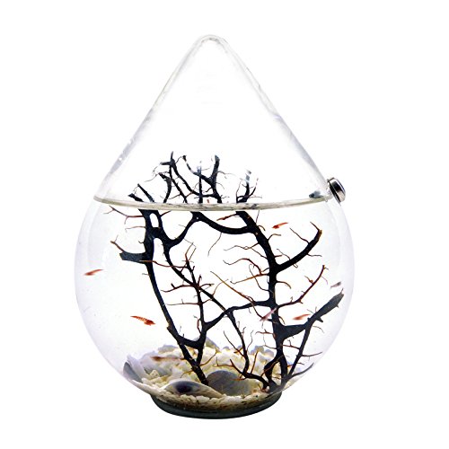 Beachworld Drop 12,5 cm DG5 - immagine 3