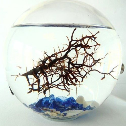 Bioglobe Mediterraneo con gorgone 12,5 cm - immagine 3