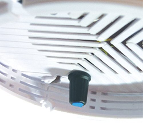 Bioglobe Mediterraneo con gorgone 12,5 cm - immagine 6