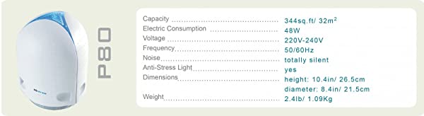 Bioglobe Mediterraneo con gorgone 12,5 cm - immagine 7