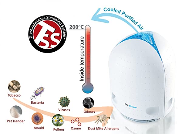 Bioglobe Mediterraneo con gorgone 12,5 cm - immagine 8