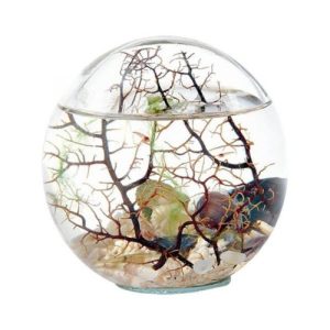 Bioglobe gorgone 12,5 cm