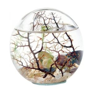 Bioglobe gorgone 30 cm
