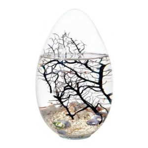 Bioglobe uovo con gorgone 16 cm