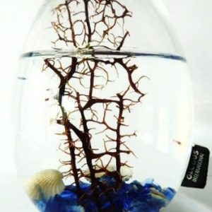 Bioglobe uovo con gorgone 16 cm, motivo: Mediterraneo