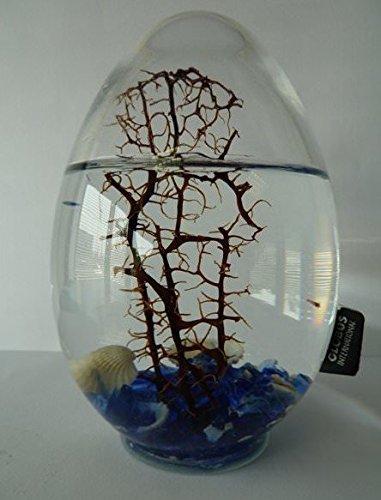 Bioglobe uovo con gorgone 16 cm, motivo: Mediterraneo - immagine 4