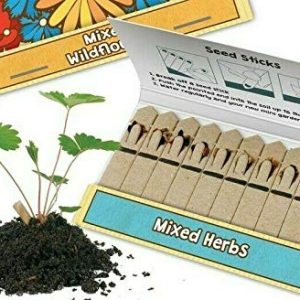Easy Fun Bastoncini di Semi di Erbe Miste Confezione 10
