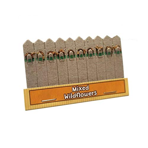 Easy Fun Bastoncini di Semi di Erbe Miste Confezione 10 - immagine 4