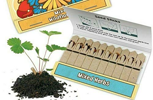Easy Fun Bastoncini di Semi di Erbe Miste Confezione 10 - immagine 3