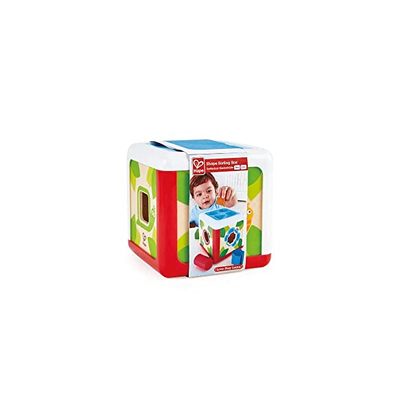 Hape- Cubi di Colori e Forme assortite