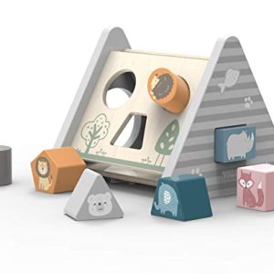 NCT Viga Shape Sorter Gear Play