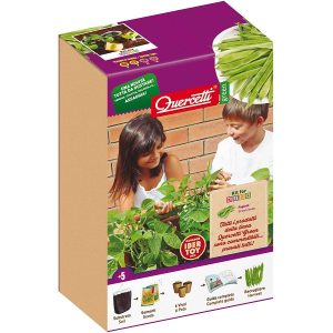 Quercetti 09598 Orto Semi Da Piantare