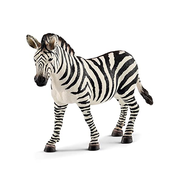 SCHLEICH Giovane Femmina di Zebra, 14810 Does not apply Giocattolo, Multicolore, One size