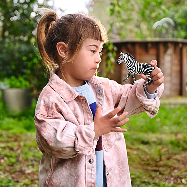 SCHLEICH Giovane Femmina di Zebra, 14810 Does not apply Giocattolo, Multicolore, One size - immagine 4
