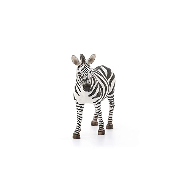 SCHLEICH Giovane Femmina di Zebra, 14810 Does not apply Giocattolo, Multicolore, One size - immagine 5