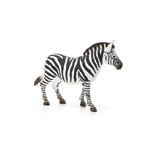 SCHLEICH Giovane Femmina di Zebra, 14810 Does not apply Giocattolo, Multicolore, One size - immagine 6