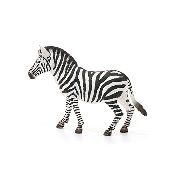 SCHLEICH Giovane Femmina di Zebra, 14810 Does not apply Giocattolo, Multicolore, One size - immagine 7