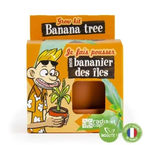 Semi di banano in vaso da coltivazione – vaso da 8 cm