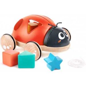 COCCINELLA CON FORMINE -HAPE – E0364