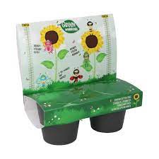 Gara di girasoli Green Warriors - immagine 2